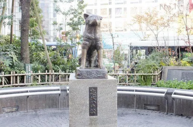 S6 Shibuya Center-350M From Shibuya St Ation Aparthotel Tokyo